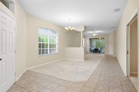 19149 Lake Audubon Drive, Tampa FL - photo 6 of 6