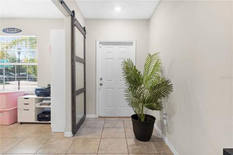 7420 Pearly Everlasting Avenue, Tampa FL - photo 6 of 48