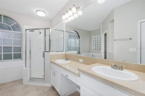 19103 Dove Creek Drive, Tampa FL - photo 21 of 45