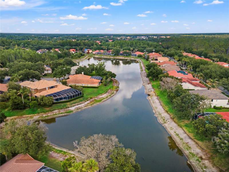 6 bedroom Single Family Residence at 17861 Arbor Greene Drive, Arbor Greene Ph 1, Tampa — photo 3