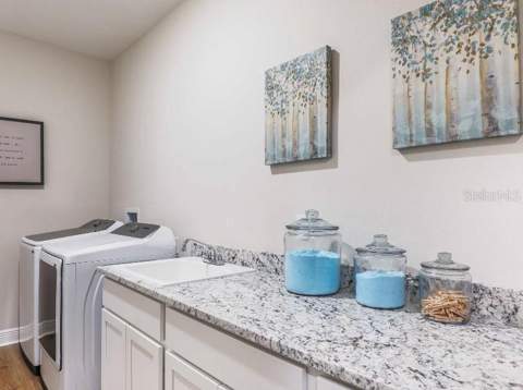 930 Buckeye Drive, Lady Lake FL - photo 19 of 29