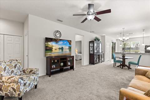 22024 Belgian Court, Mount Dora FL - photo 11 of 31