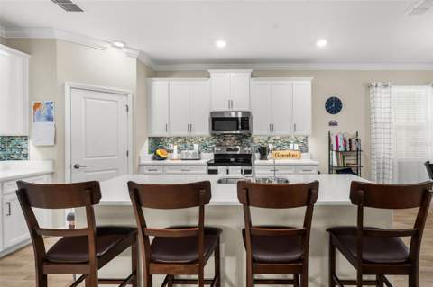 31687 Cabana Rye Avenue, San Antonio FL - photo 12 of 70