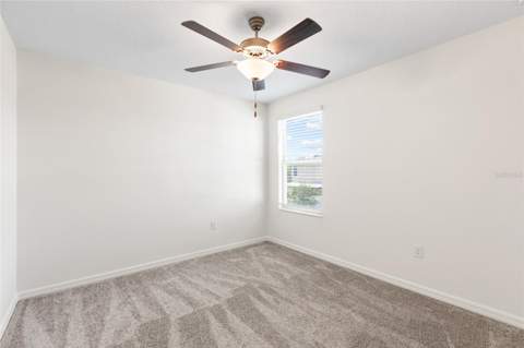 7310 Pearly Everlasting Avenue, Tampa FL - photo 19 of 63