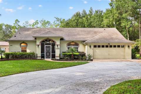 21675 SW 84Th Loop, home for sale in Dunnellon 34431