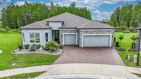 18793 Horizon View Point, home for sale in Land O' Lakes 34638