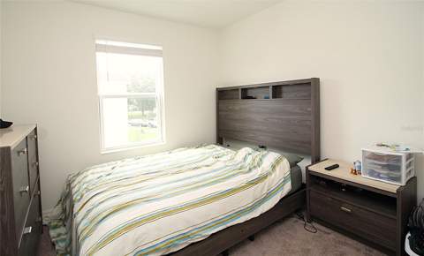 7245 Big Cedar Alley, Groveland FL - photo 14 of 20