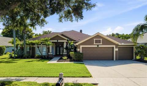 5522 Reflections Boulevard, home for sale in Lutz 33558