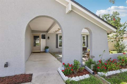 1009 Black Knight Drive, Valrico FL - photo 7 of 62