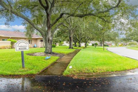 2476 Laurelwood Drive #C, Clearwater FL - photo 22 of 22