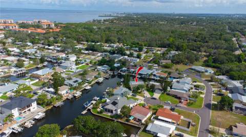 318 Circle Drive, Palm Harbor FL - photo 13 of 38