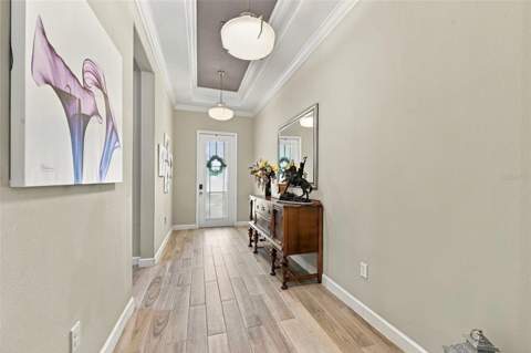 16909 Clear Cork Drive, Wimauma FL - photo 6 of 6