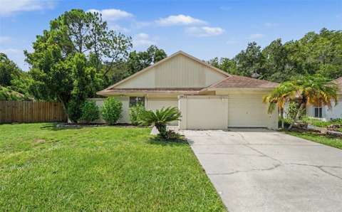 5953 Birchwood Drive, home for sale in Tampa 33625
