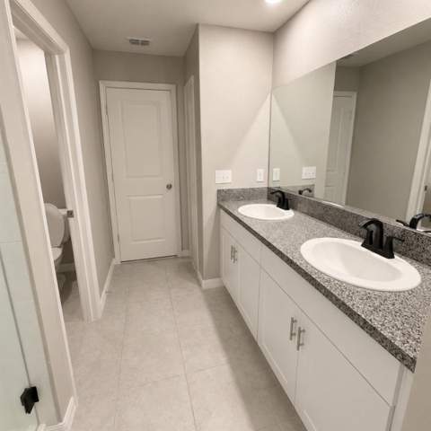 10364 Alder Green Drive, Riverview FL - photo 7 of 15