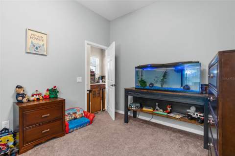 19200 Sunset Bay Drive, Land O Lakes FL - photo 14 of 43