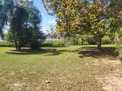 14902 Arrena Road, Winter Garden FL - photo 6 of 40