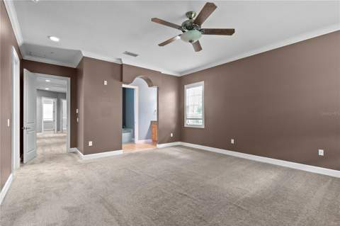 11504 Bellamar Street, Tampa FL - photo 23 of 40