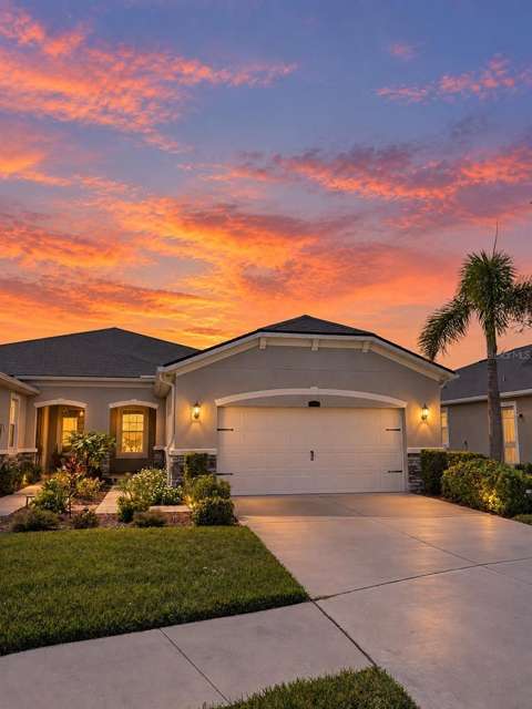 11631 Weathered Felling Drive, home for sale in Riverview 33569