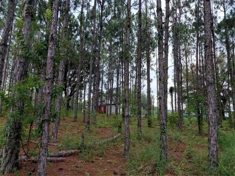 14240 Lost Lake Road, Clermont FL - photo 15 of 47