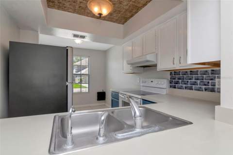 14053 Notreville Way, Tampa FL - photo 8 of 46