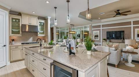 3912 Masaniello Way, Wesley Chapel FL - photo 8 of 35