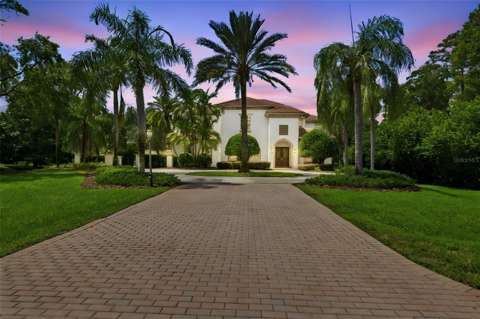 17204 Journeys End Drive, home for sale in Odessa 33556