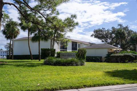 117 E Cypress Court #117, Oldsmar FL - photo 22 of 31