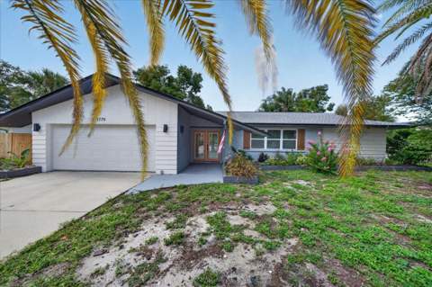 1779 Union Street, Clearwater FL - photo 6 of 6