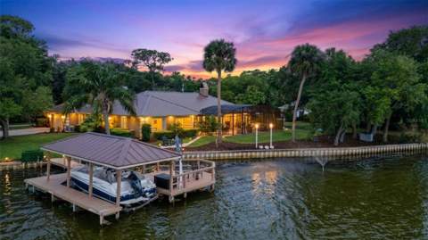 29650 Squirrel Point Road, Tavares FL - photo 6 of 6