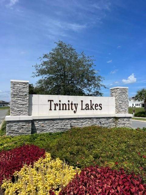 7272 Rolling Leaf Road, Groveland FL - photo 22 of 31