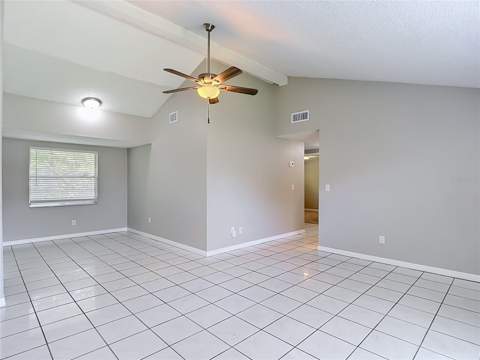 6701 Village Grove Court, Tampa FL - photo 6 of 39