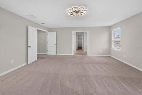 11628 Lake Lucaya Drive, Riverview FL - photo 14 of 47