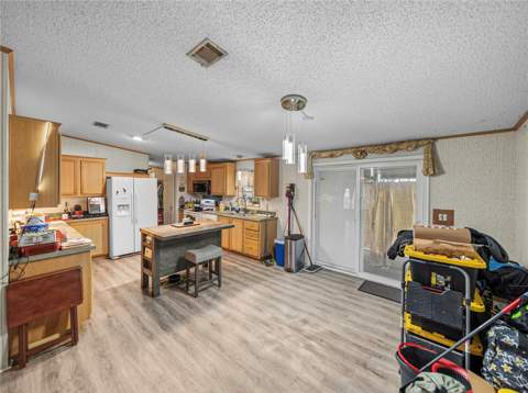 11404 Lithia Pinecrest Road, Lithia FL - photo 14 of 63