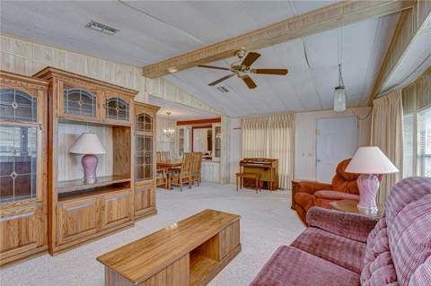 35804 Brisa Drive, Zephyrhills FL - photo 8 of 43