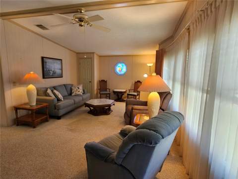 101 Dolphin Drive, Oldsmar FL - photo 11 of 34