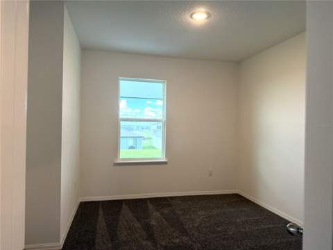 31563 Wild Grape Lane, Brooksville FL - photo 18 of 44