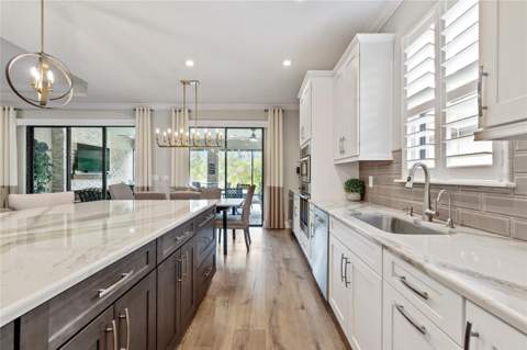 29534 Ginnetto Drive, Wesley Chapel FL - photo 6 of 99