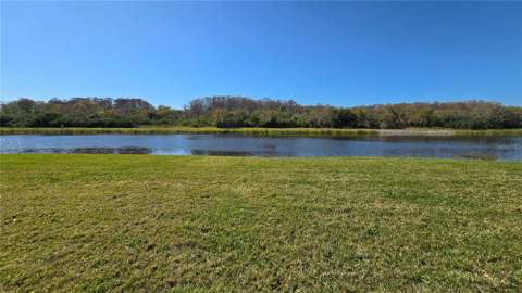 1648 Lago Vista Boulevard, Palm Harbor FL - photo 13 of 58