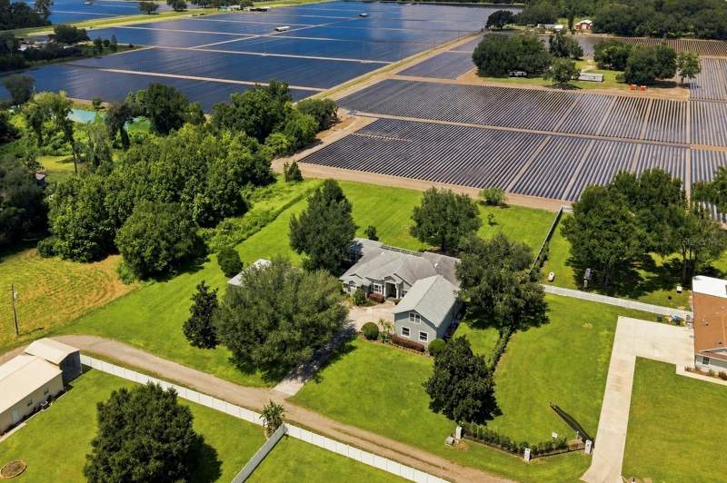 Puntkins PatchHomes for Sale in Dover, FL
