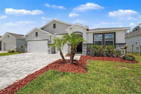 23231 Scaglione Drive, Lutz FL - photo 6 of 6