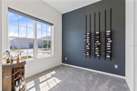13828 Tybee Beach Lane, Orlando FL - photo 24 of 46