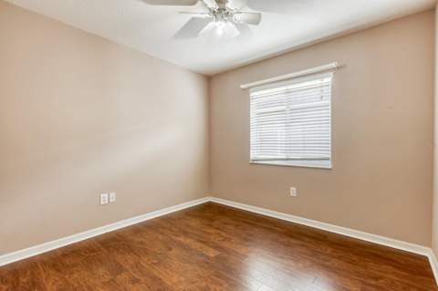 31209 Masena Drive, Wesley Chapel FL - photo 15 of 20