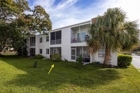 341 S McMullen Booth Road #147, Clearwater FL - photo 17 of 24