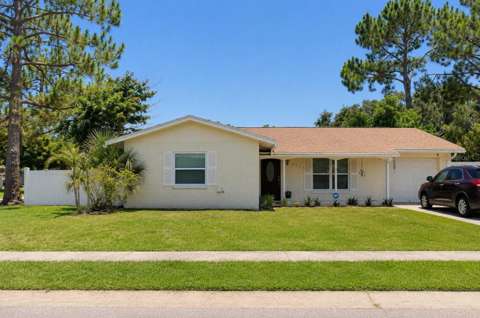 8002 Woodvine Place, home for sale in Tampa 33615