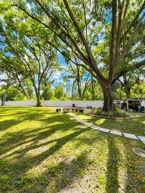 17430 Blackwell Lane, Lutz FL - photo 6 of 6