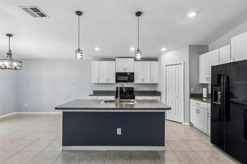 6388 Spider Lily Way, New Port Richey FL - photo 8 of 45