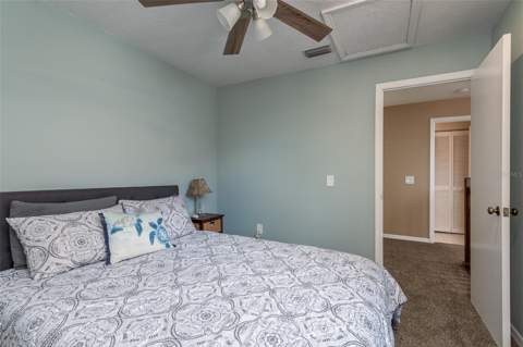 10429 La Mirage Court, Tampa FL - photo 22 of 44
