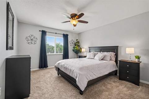 12915 Carlington Ln, Riverview FL - photo 16 of 37