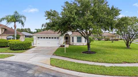 12027 Fern Terrace Court, home for sale in Trinity 34655