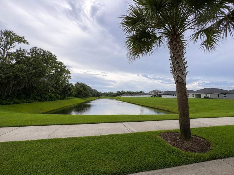 4 bedroom Single Family Residence at 12964 Kent Bradley Street, Abbey Glen, Dade City — photo 3